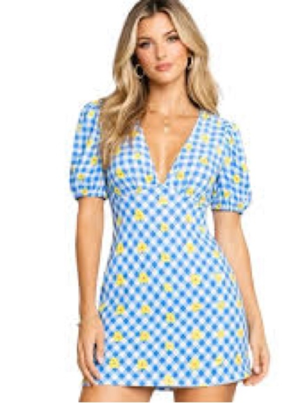 STAUD Blue and Yellow Gingham Floral V-Neck Mini Dress